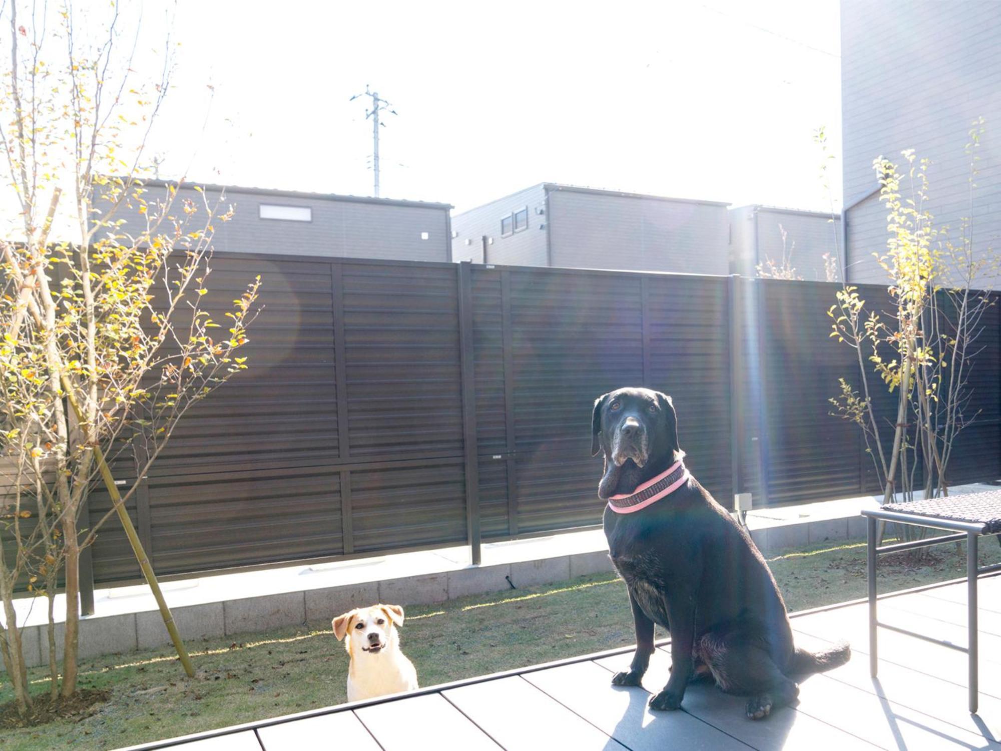 Rakuten Stay Fuji Kawaguchiko Station Fujikawaguchiko Eksteriør bilde